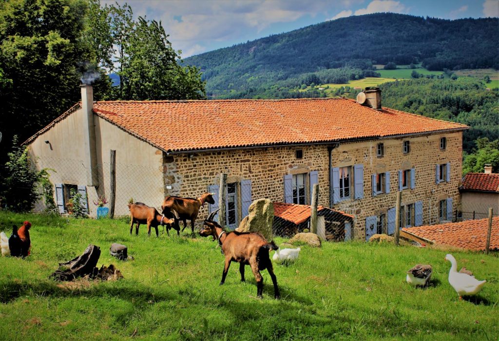 Gite rural dans la Loire