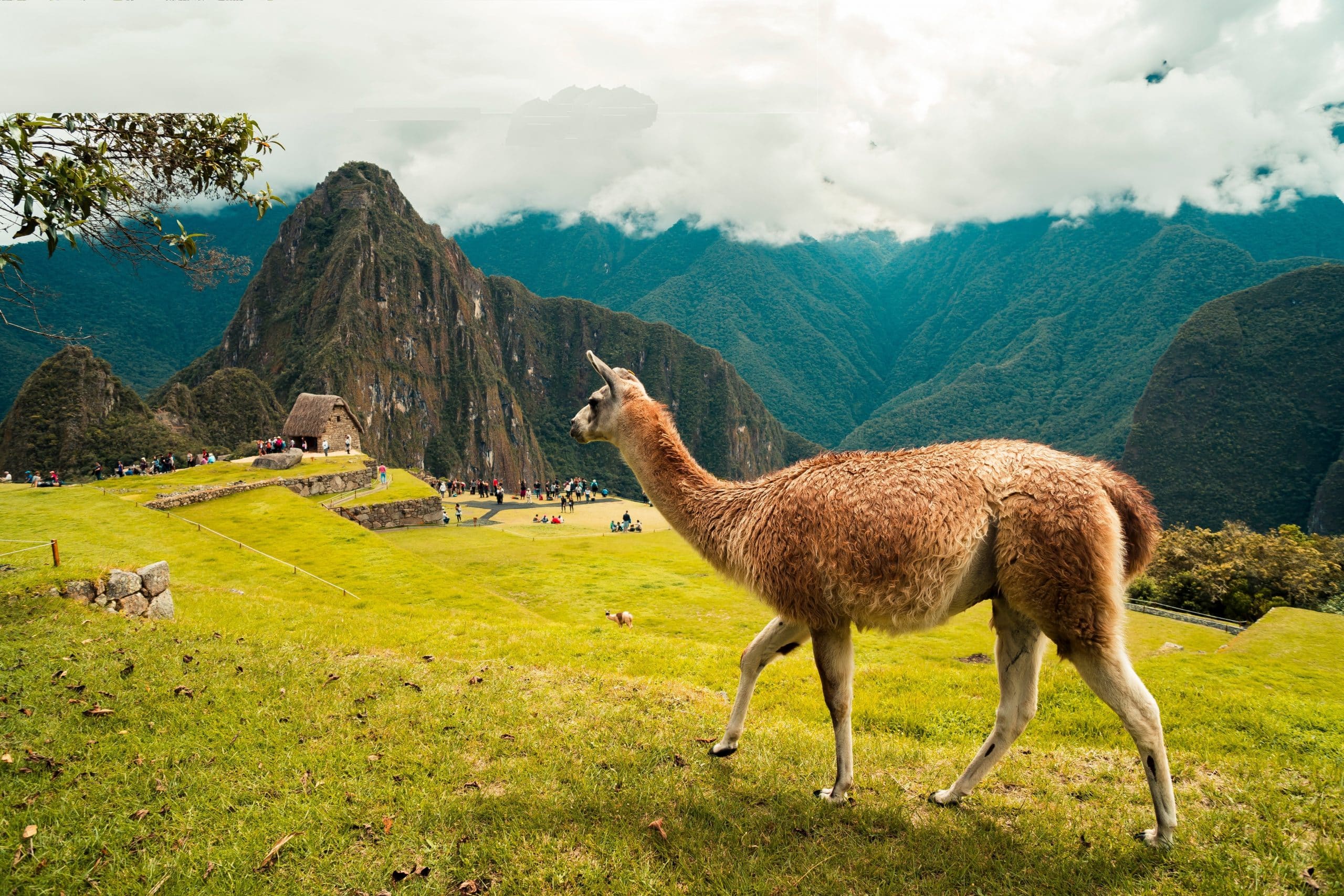 Voyage : destination le Pérou