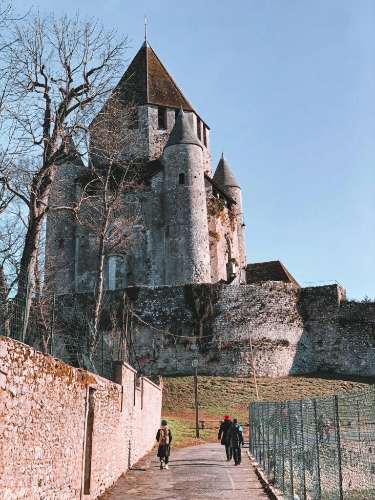 cité médievale provins